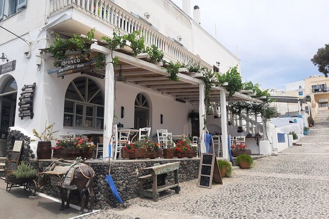 santorini-like-a-local-discover-local-flavors-by-exploring-the-island