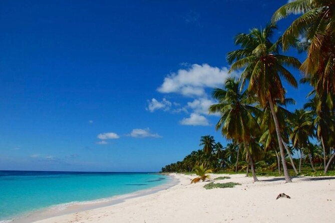 saona-island-excursion-small-group-on-motorized-trimaran