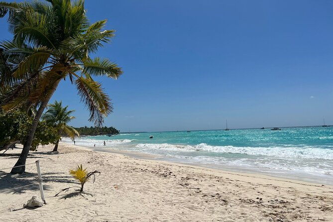 saona-island-full-day-tour-with-buffet-lunch-paella-open-bar
