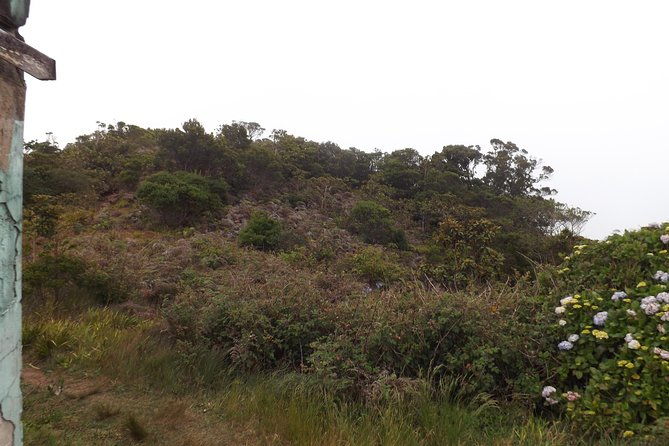 scenic-blue-mountain-hike-from-kingston