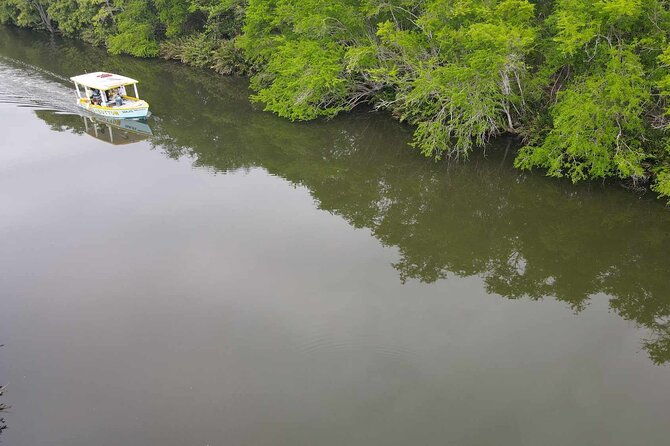 scenic-historical-nature-boat-safari-up-the-negril-river