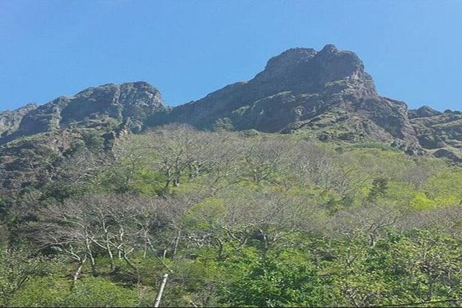 scenic-route-nuns-valley-tour