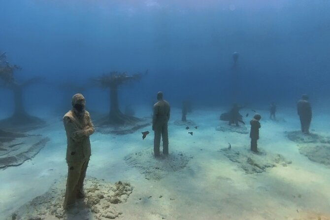 scuba-diving-experience-musan-dive-free-edited-video-2xdives