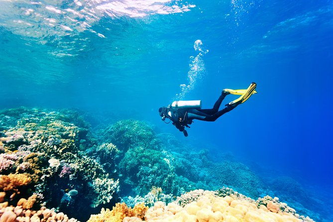 scuba-diving-tour-in-bodrum-2