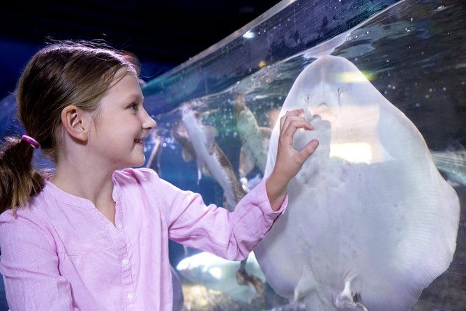 sea-life-aquarium-arizona-admission-ticket