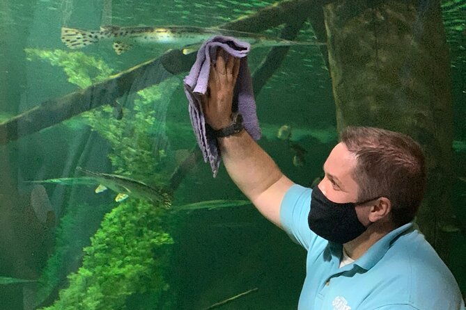 sea-life-aquarium-minnesota-admission-ticket-at-mall-of-america-2