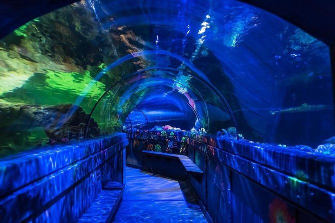 sea-life-brighton-admission-ticket