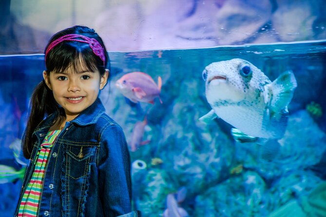 sea-life-charlotte-concord-aquarium-admission-ticket