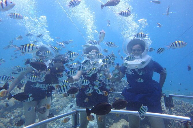seatrek-tour-st-maarten