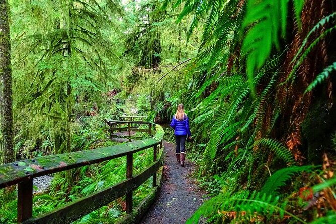 self-guided-audio-driving-tour-in-olympic-national-park