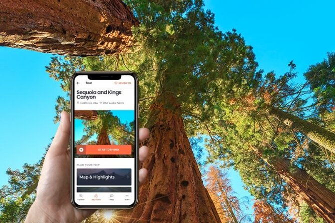self-guided-audio-driving-tour-in-sequoia-and-kings-canyon
