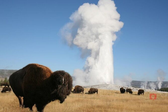 self-guided-audio-driving-tour-in-yellowstone-and-grand-teton-2