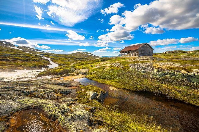 self-guided-bergen-to-oslo-daytrip-with-flamsbana-fjordcruise
