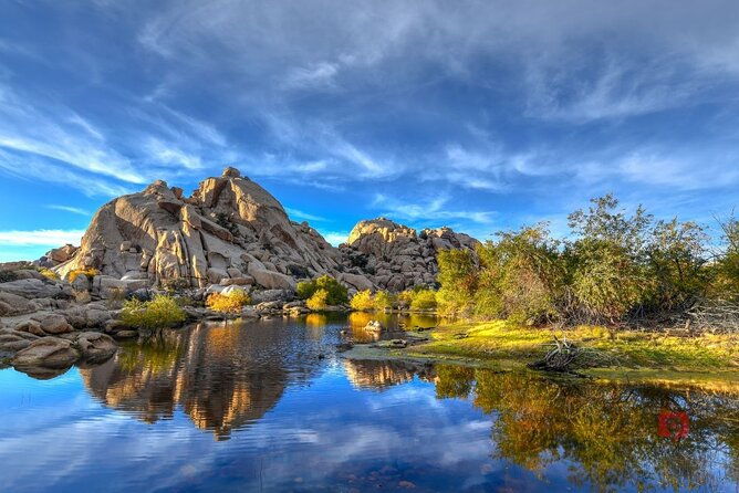 self-guided-driving-audio-tour-in-joshua-tree-national-park