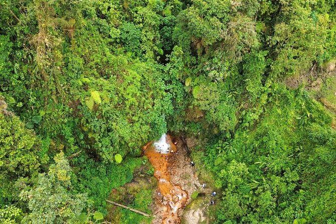 self-guided-walk-in-the-iral-cloud-forest-trails