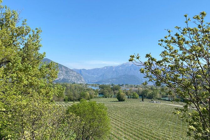 self-guided-wine-tour-in-franciacorta-full-day-experience-with-lunch