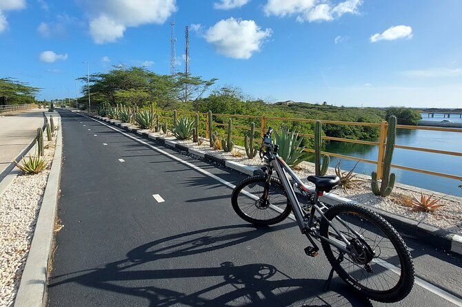semi-private-road-to-san-nicolas-culture-heritage-by-e-bike-aruba