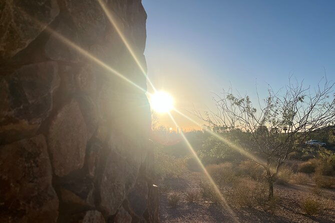 serene-botanical-tour-of-the-sonoran-desert-guided-nature-walk