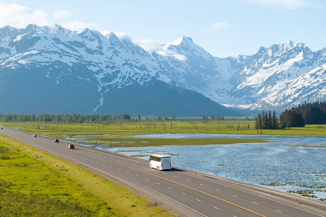 seward-to-anchorage-wildlife-adventure