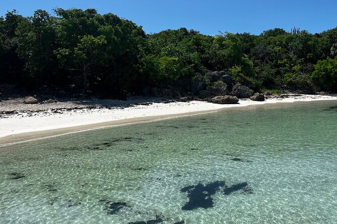 share-boat-trip-discover-green-island-and-sea-turtles-half-day