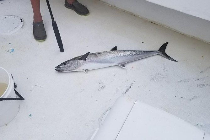 shared-deep-sea-fishing-trip