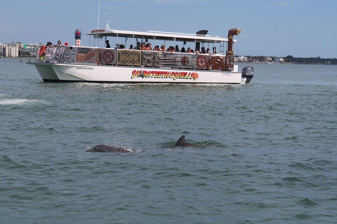 shark-teeth-and-shells-dolphin-and-shelling-tour-boat-clearwater-beach