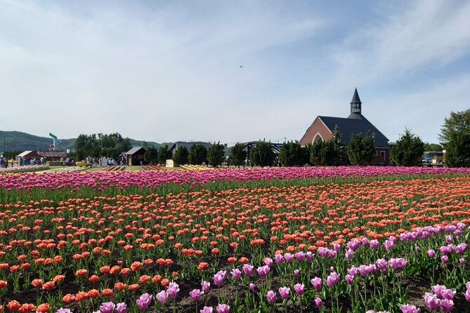 shibazakura-tulip-going-by-private-car-shibazakura-takinoue-park-and-kamiyubetsu-tulip-park-from-sapporo