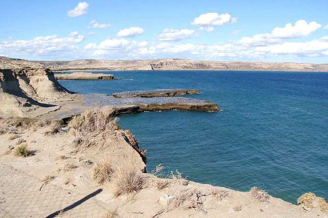 shore-excursion-private-day-trip-to-peninsula-valdes-from-puerto-madryn