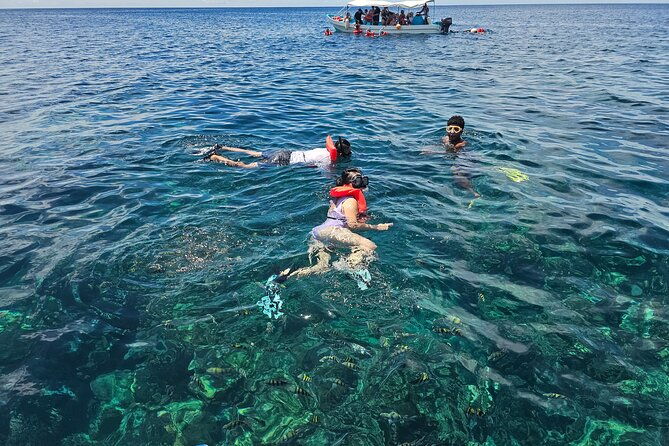 shore-excursion-roatan-zip-line-wildlife-eco-park-and-snorkel