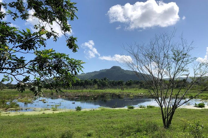 shore-excursion-v-i-p-daypass-atv-zip-lines-horseback-riding-lunch