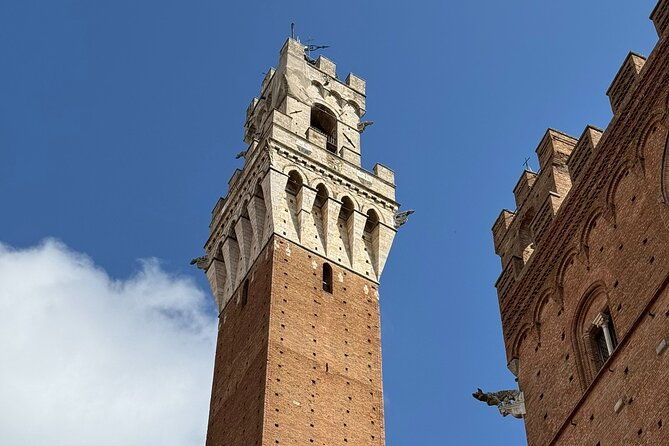 siena-and-san-gimignano-tour-by-van-from-lucca-or-pisa