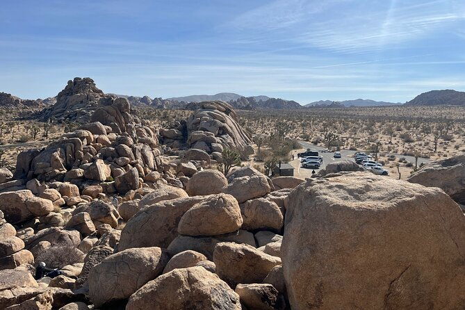 sightseeing-adventure-tour-of-joshua-tree-national-park-2
