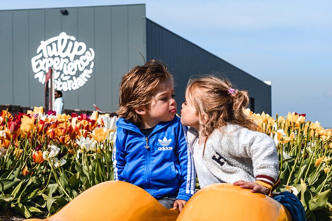 sightseeing-tour-to-keukenhof-tulip-gardens-fields-and-giethoorn-from-amsterdam