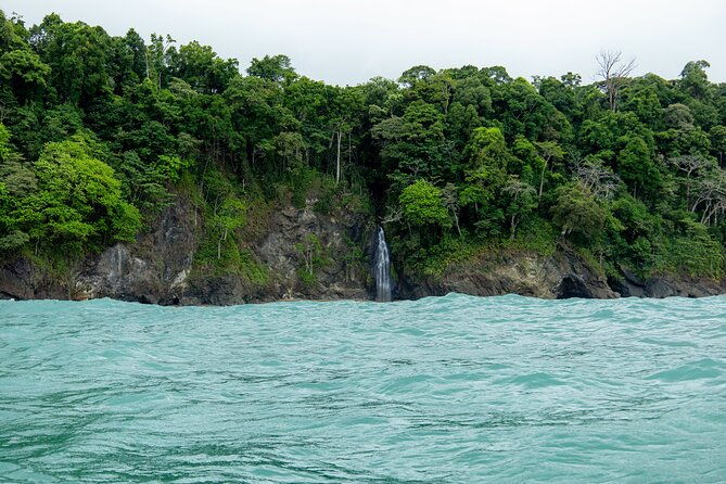 sirena-station-corcovado-national-park-day-trip-from-quepos