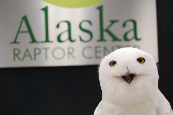 sitka-premium-tour-private-alaska-raptor-center-fortress-of-the-bearstotems-2