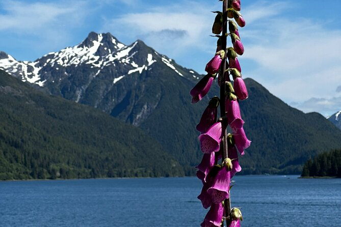 sitka-private-adventure-4x4-truck-tour-lunch-w-2-admissions