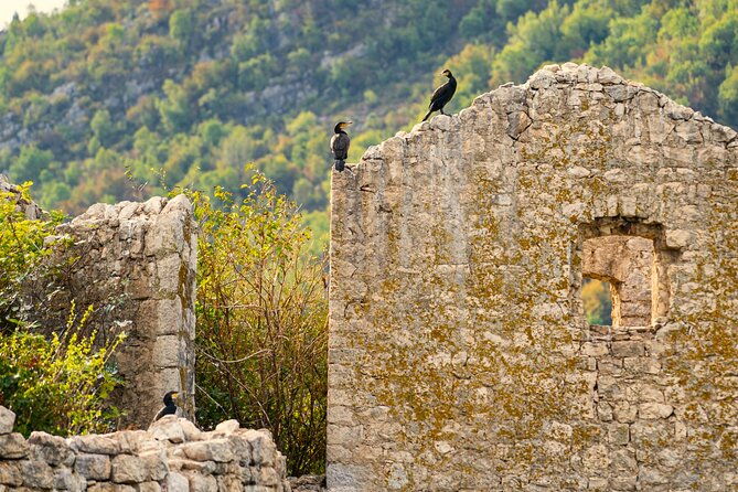 skadar-lake-short-guided-tour-discover-the-montenegrin-alcatraz