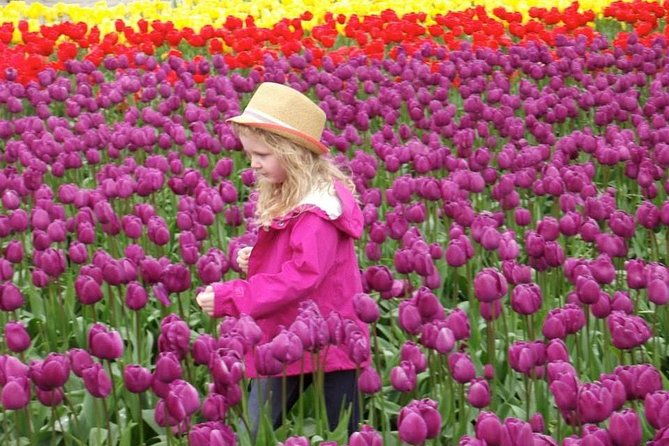 skagit-valley-tulip-festival-day-trip-from-seattle