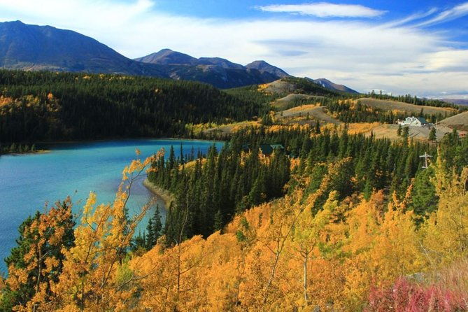 skagway-shore-excursion-yukon-dog-sledding-and-sightseeing-tour