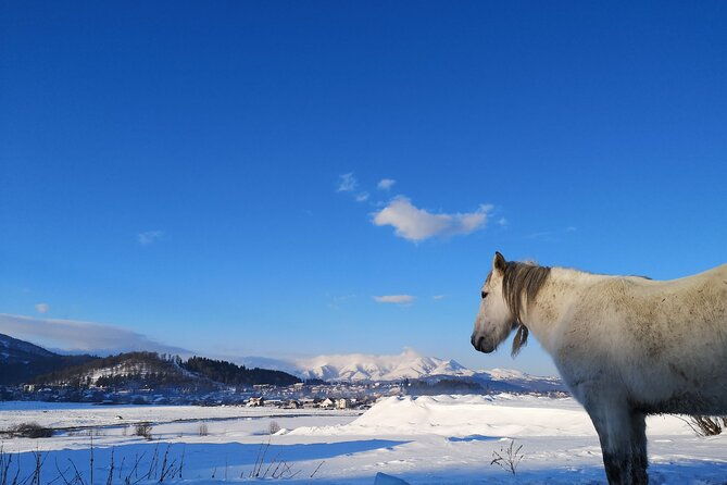 ski-snow-tour-to-bakuriani-from-kutaisi-with-borjomi-stop