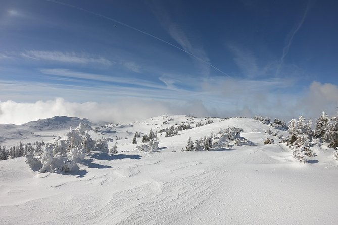 skiing-at-sarajevo-olympic-mountains-full-day-tour-from-sarajevo