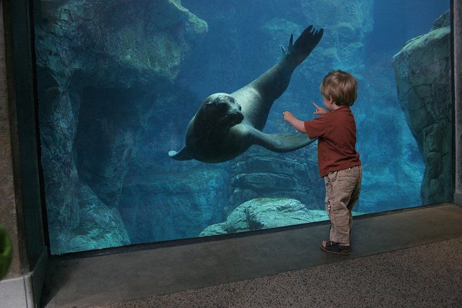 skip-the-ticketing-line-aquarium-of-the-pacific-general-admission-ticket