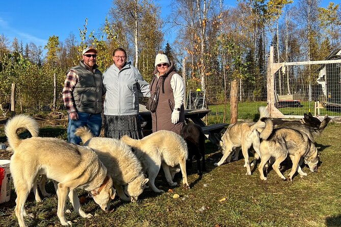 sled-dog-kennel-tour