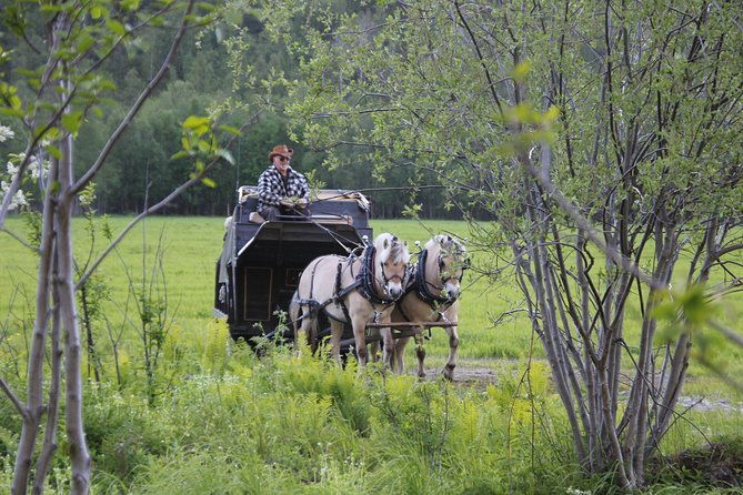 sleigh-ride-w-snacks-experience-arctic-farm-life