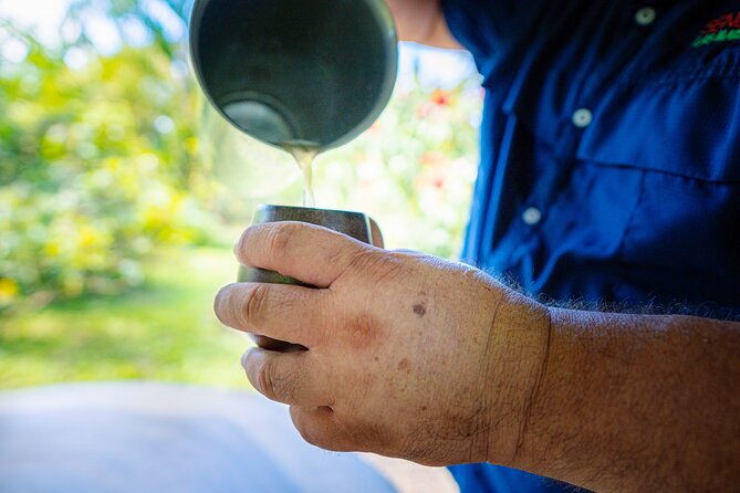 sloth-tour-in-la-fortuna-and-tortillas-cooking-class