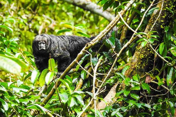 slow-travel-from-quito-to-cuyabeno-amazon