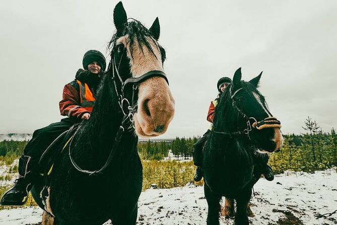 small-group-arctic-circle-horse-riding-from-rovaniemi