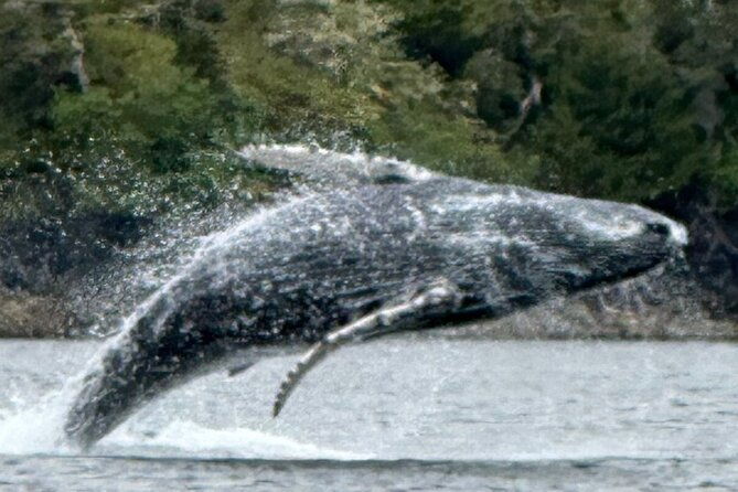 small-group-boat-tour-of-sitka