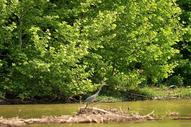 small-group-clear-kayak-tour-of-old-hickory-lake