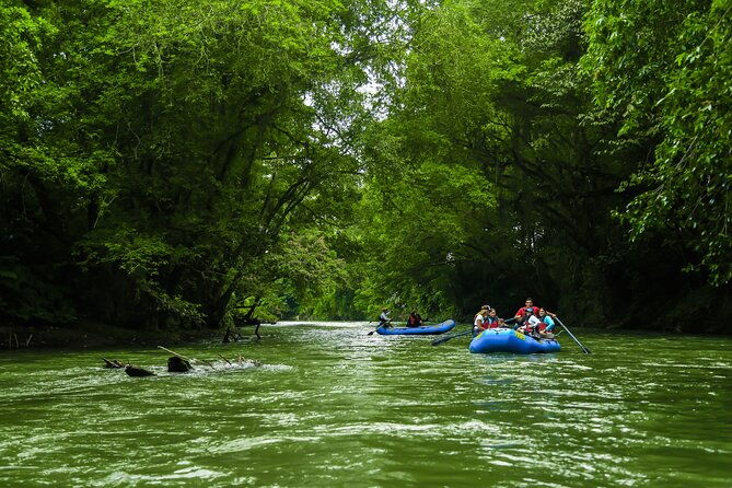 small-group-twilight-wildlife-boat-tour-in-la-fortuna
